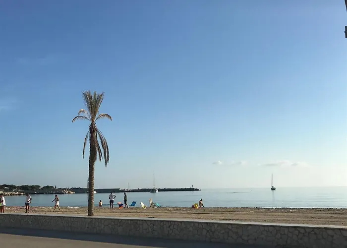 Il Fiocco E La Randa