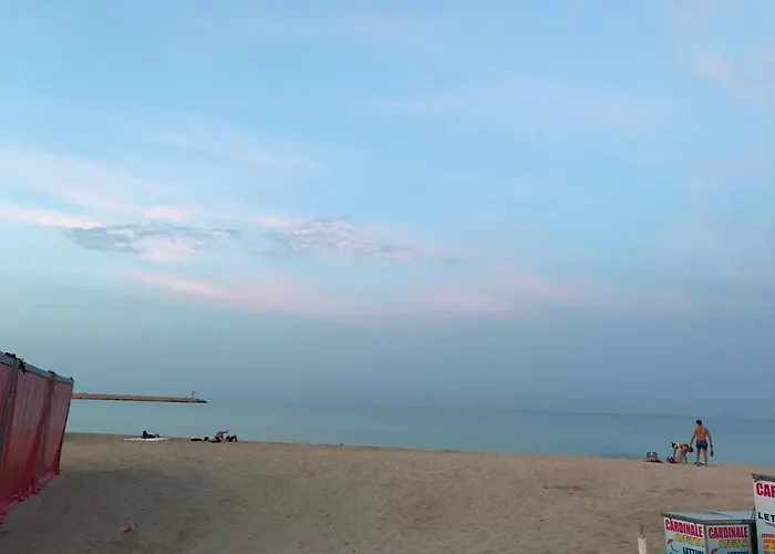 Il Fiocco E La Randa